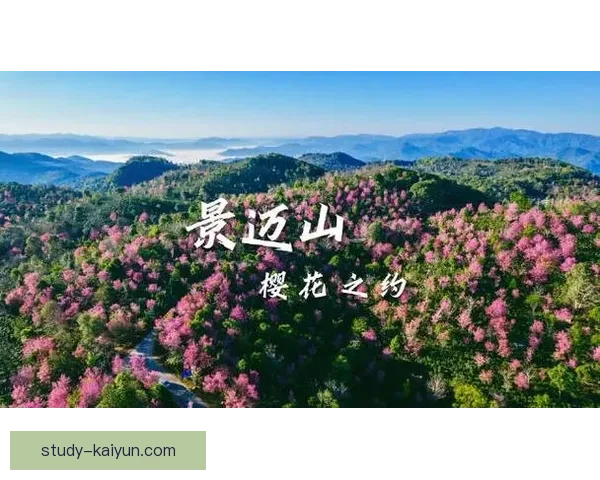 开云地址周边探索：从地理位置到文化遗产的一站式深度指南